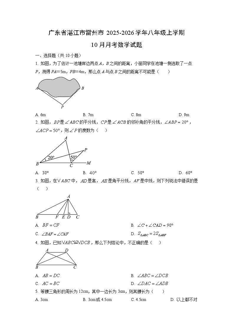 广东省湛江市雷州市2025-2026学年八年级上学期10月月考数学试卷（学生版）第1页
