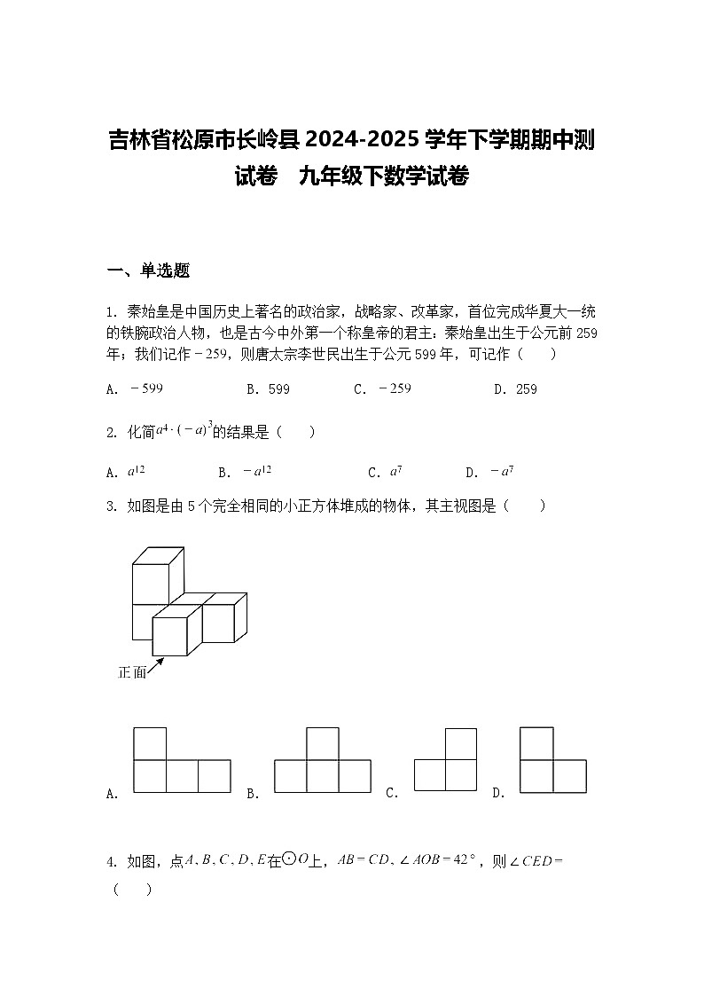 吉林省松原市长岭县2024-2025学年下学期期中测试卷  九年级下数学试卷（含答案解析）第1页