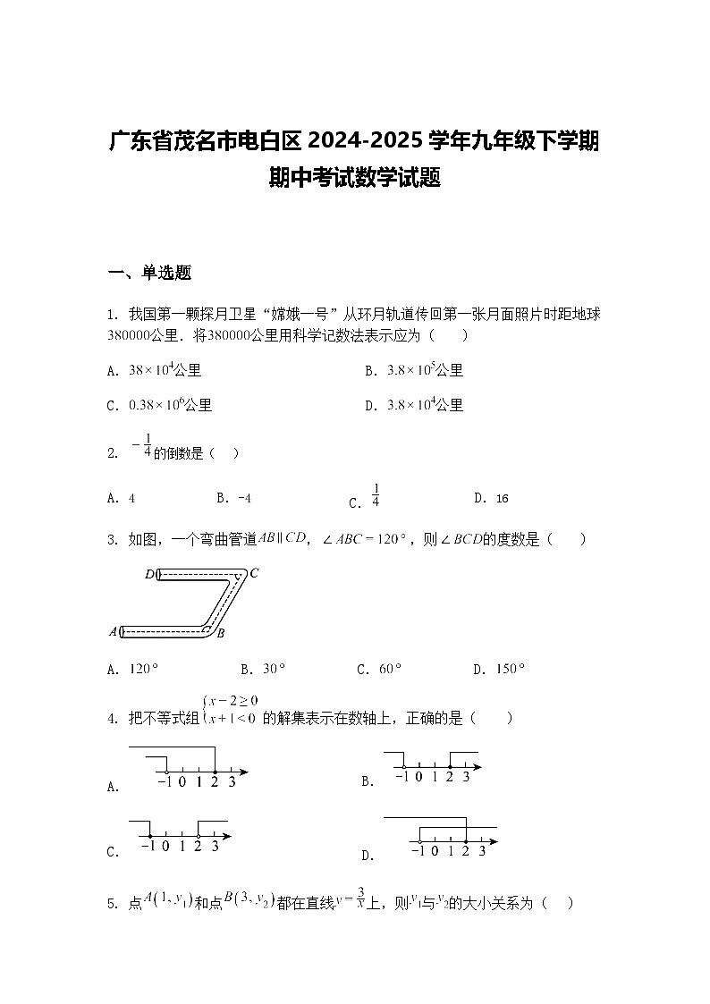 广东省茂名市电白区2024-2025学年九年级下学期期中考试数学试题（含答案解析）第1页