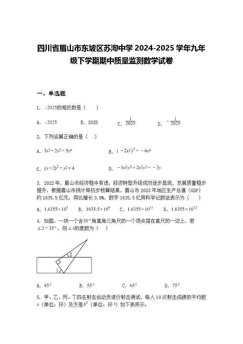 四川省眉山市东坡区苏洵中学2024-2025学年九年级下学期期中质量监测数学试卷（含答案解析）第1页