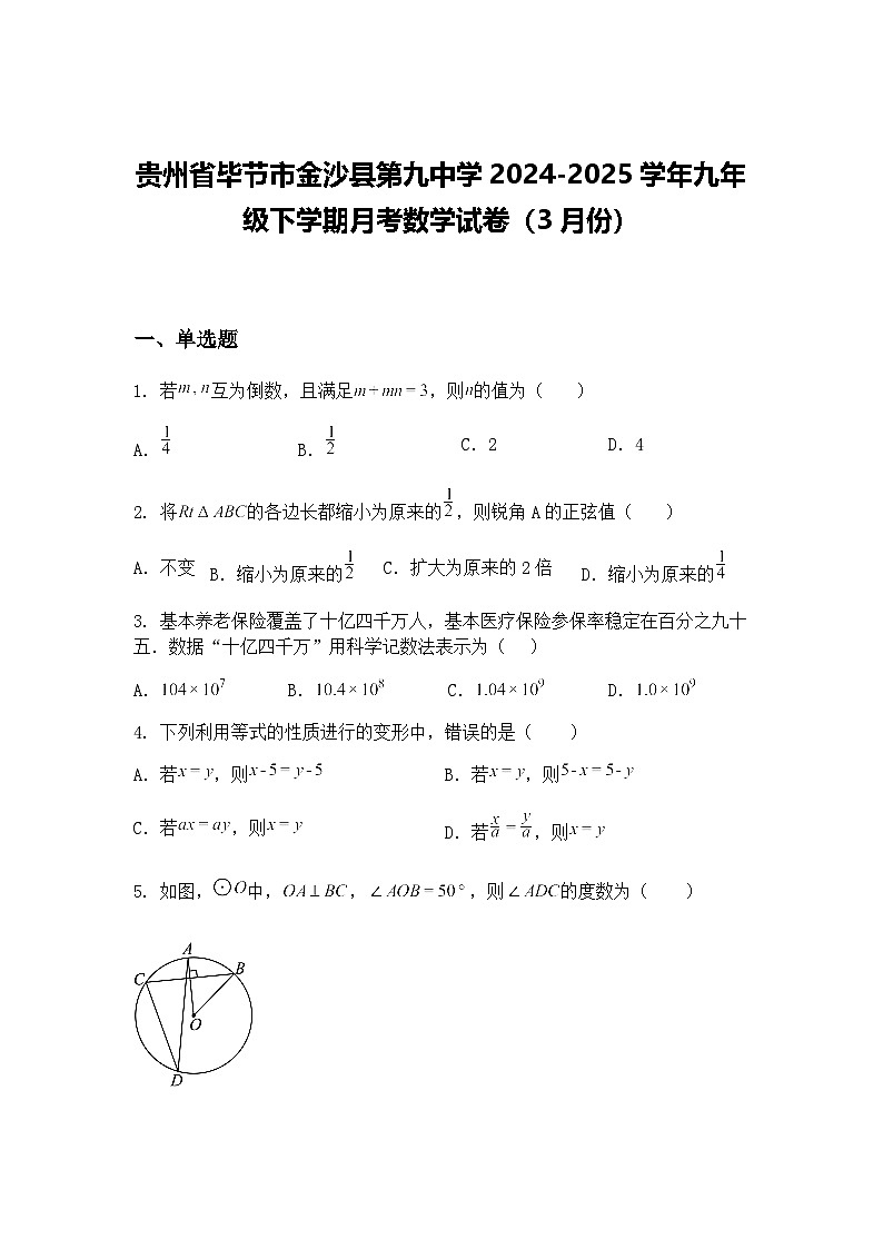 贵州省毕节市金沙县第九中学2024-2025学年九年级下学期月考数学试卷（3月份）（含答案解析）第1页
