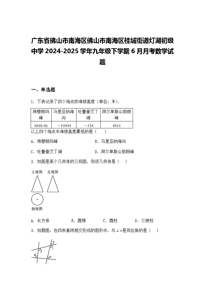 广东省佛山市南海区佛山市南海区桂城街道灯湖初级中学2024-2025学年九年级下学期6月月考数学试题（含答案解析）第1页