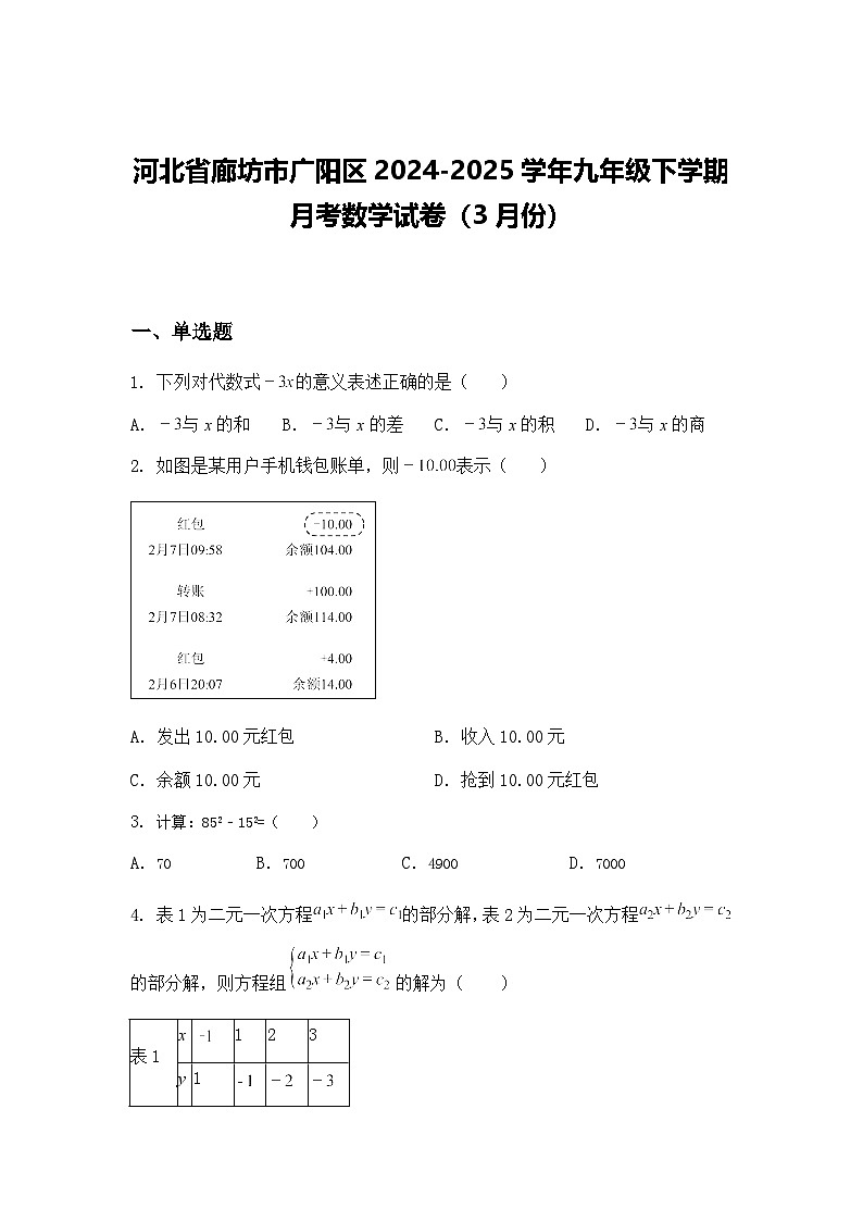 河北省廊坊市广阳区2024-2025学年九年级下学期月考数学试卷（3月份）（含答案解析）第1页