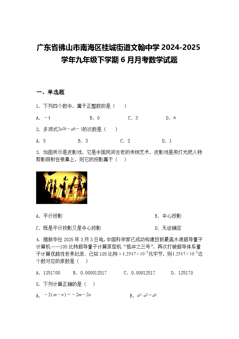 广东省佛山市南海区桂城街道文翰中学2024-2025学年九年级下学期6月月考数学试题（含答案解析）第1页