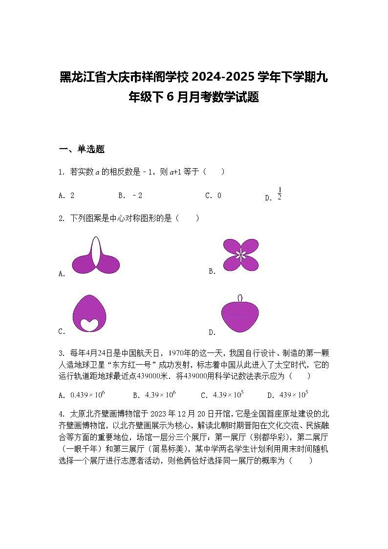 黑龙江省大庆市祥阁学校2024-2025学年下学期九年级下6月月考数学试题（含答案解析）第1页