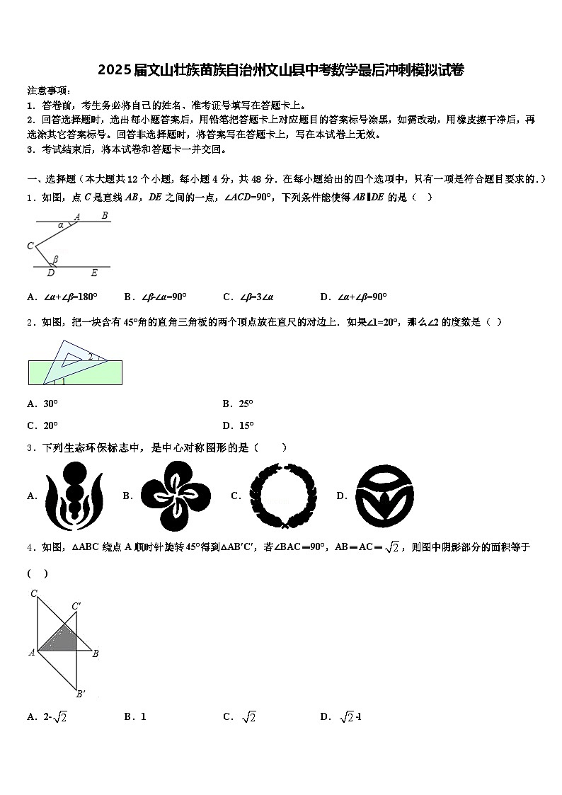 2025届文山壮族苗族自治州文山县中考数学最后冲刺模拟试卷含解析第1页