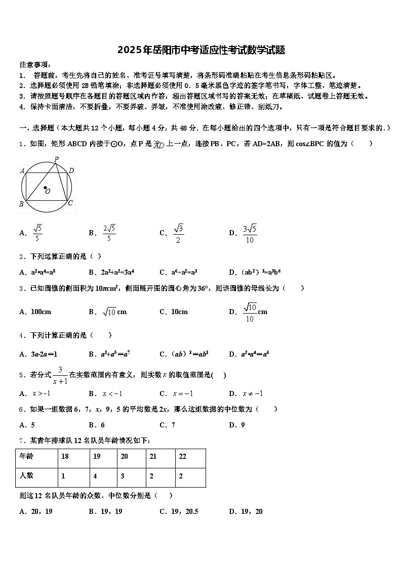 2025年岳阳市中考适应性考试数学试题含解析第1页