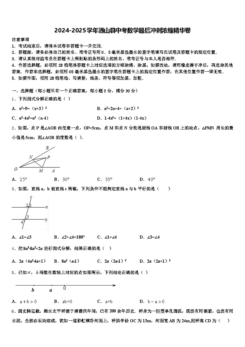 2024-2025学年通山县中考数学最后冲刺浓缩精华卷含解析第1页