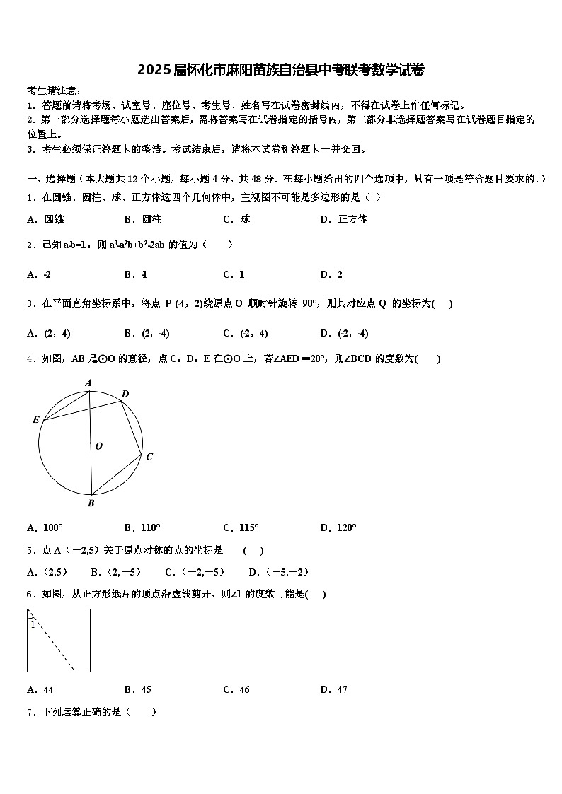 2025届怀化市麻阳苗族自治县中考联考数学试卷含解析第1页