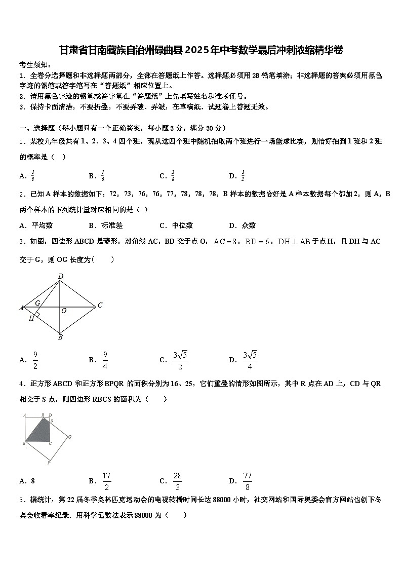 甘肃省甘南藏族自治州碌曲县2025年中考数学最后冲刺浓缩精华卷含解析第1页