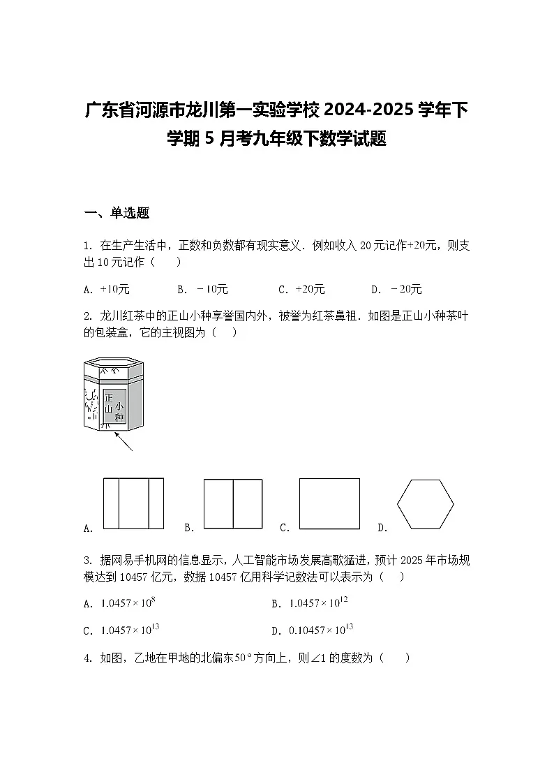 广东省河源市龙川第一实验学校2024-2025学年下学期5月考九年级下数学试题（含答案解析）第1页