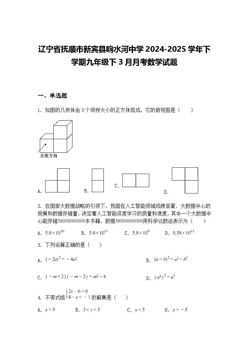 辽宁省抚顺市新宾县响水河中学2024-2025学年下学期九年级下3月月考数学试题（含答案解析）第1页