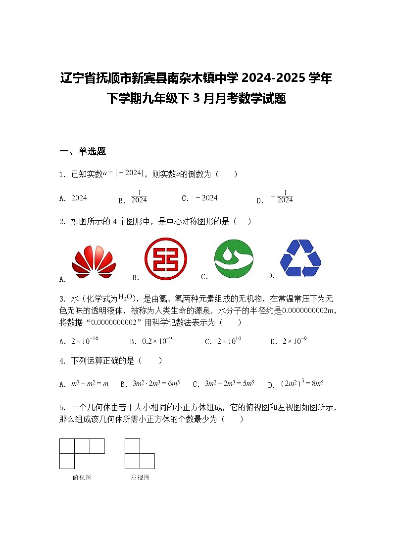 辽宁省抚顺市新宾县南杂木镇中学2024-2025学年下学期九年级下3月月考数学试题（含答案解析）第1页