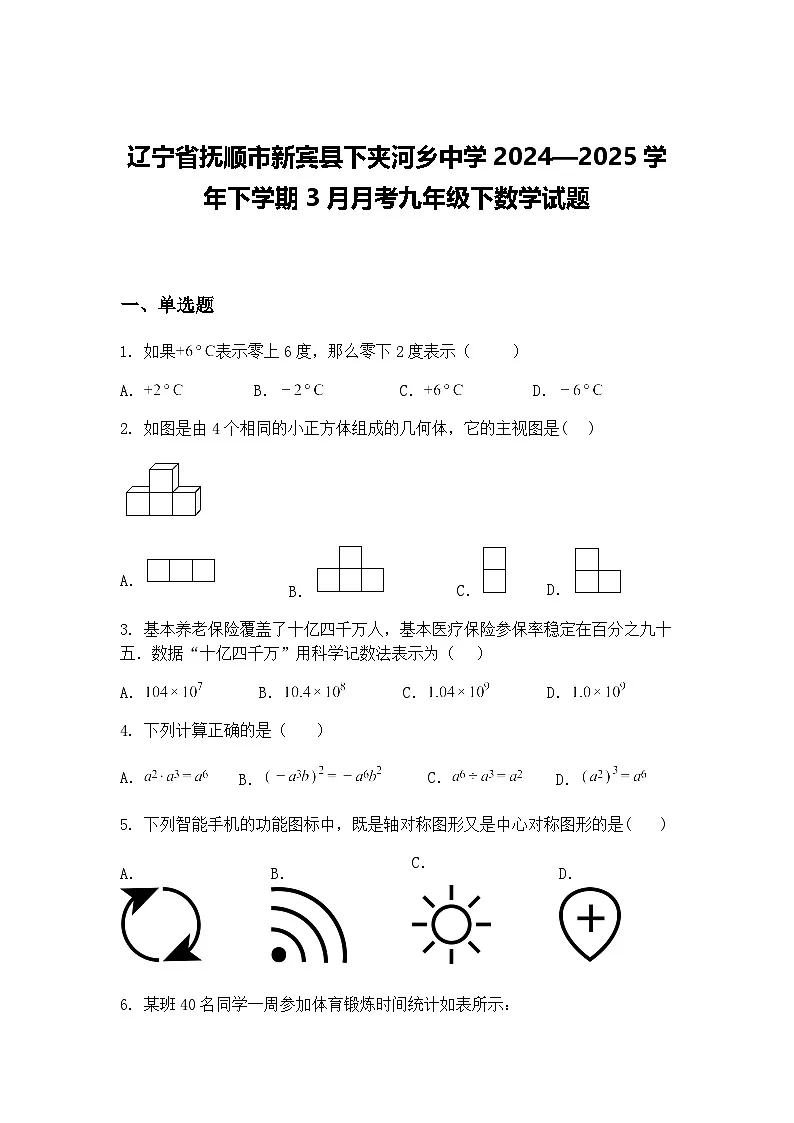 辽宁省抚顺市新宾县下夹河乡中学2024—2025学年下学期3月月考九年级下数学试题（含答案解析）第1页