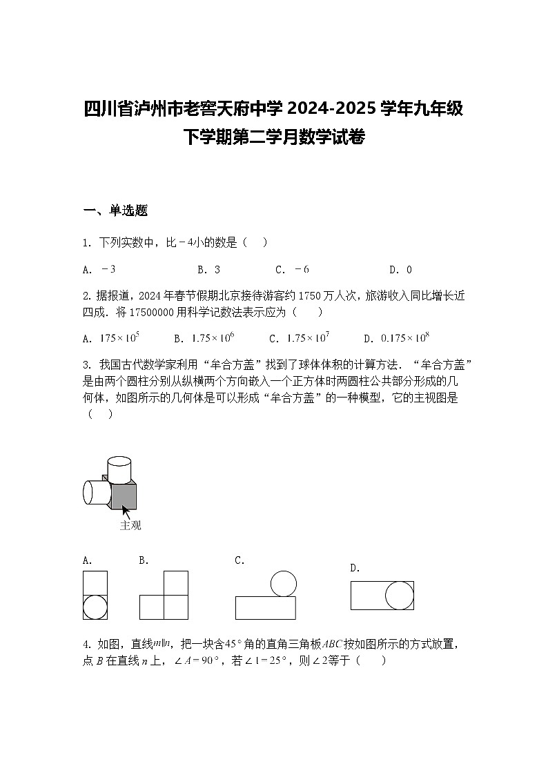 四川省泸州市老窖天府中学2024-2025学年九年级下学期第二学月数学试卷（含答案解析）第1页