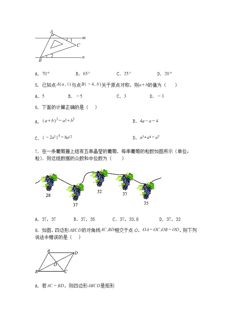 四川省泸州市老窖天府中学2024-2025学年九年级下学期第二学月数学试卷（含答案解析）第2页