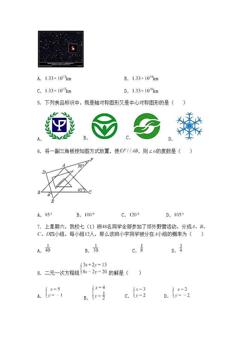 辽宁省抚顺市新宾县苇子峪镇中学2024-2025学年下学期九年级下3月月考数学试题（含答案解析）第2页