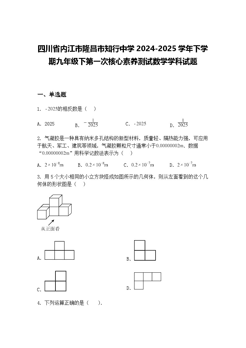 四川省内江市隆昌市知行中学2024-2025学年下学期九年级下第一次核心素养测试数学学科试题（含答案解析）第1页