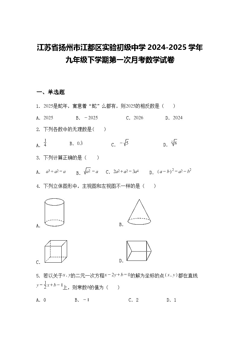 江苏省扬州市江都区实验初级中学2024-2025学年九年级下学期第一次月考数学试卷（含答案解析）第1页