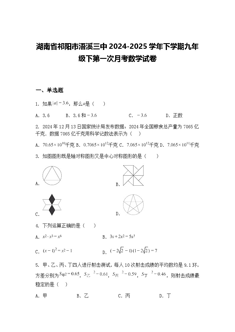 湖南省祁阳市浯溪三中2024-2025学年下学期九年级下第一次月考数学试卷（含答案解析）第1页