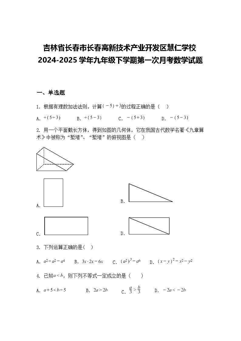 吉林省长春市长春高新技术产业开发区慧仁学校2024-2025学年九年级下学期第一次月考数学试题（含答案解析）第1页