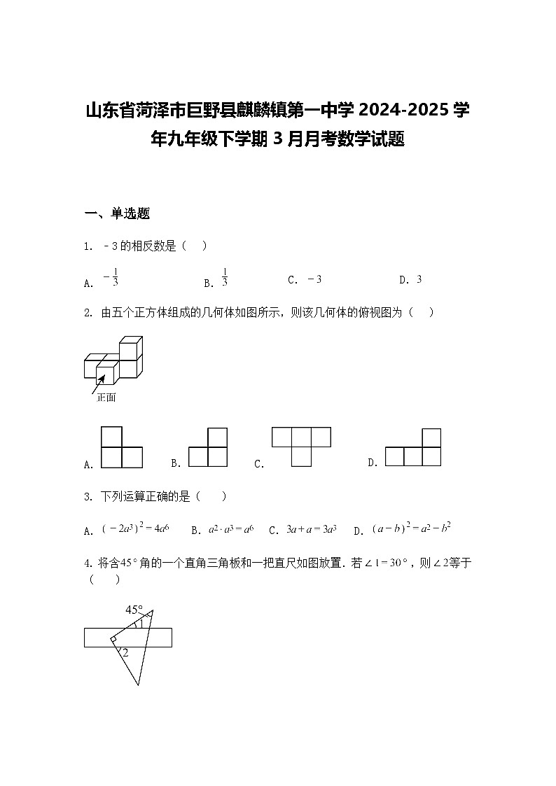 山东省菏泽市巨野县麒麟镇第一中学2024-2025学年九年级下学期3月月考数学试题（含答案解析）第1页