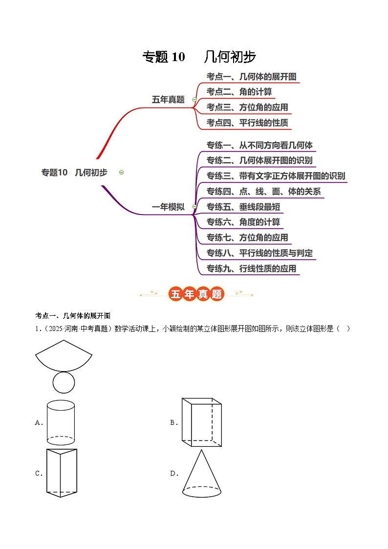 中考数学 专题练习10   几何初步（河南专用）（解析版）第1页