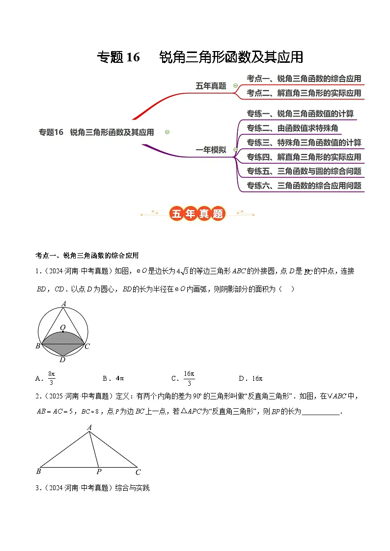 中考数学 专题练习16 锐角三角形函数及其应用（河南专用）（原卷版）第1页