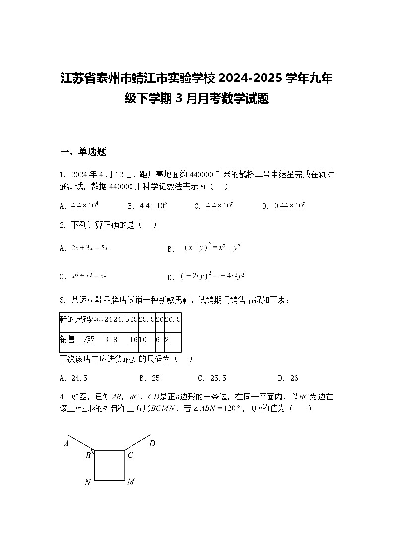 江苏省泰州市靖江市实验学校2024-2025学年九年级下学期3月月考数学试题（含答案解析）第1页