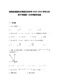 陕西省咸阳市永寿县甘井中学2024-2025学年九年级下学期第一次月考数学试题（含答案解析）