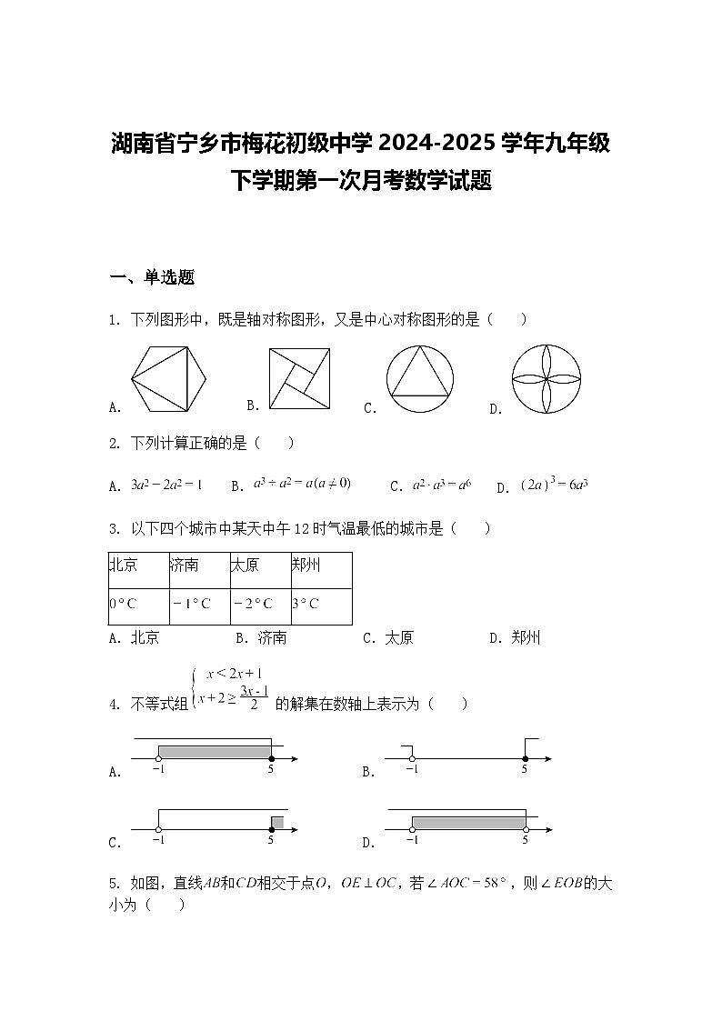 湖南省宁乡市梅花初级中学2024-2025学年九年级下学期第一次月考数学试题（含答案解析）第1页
