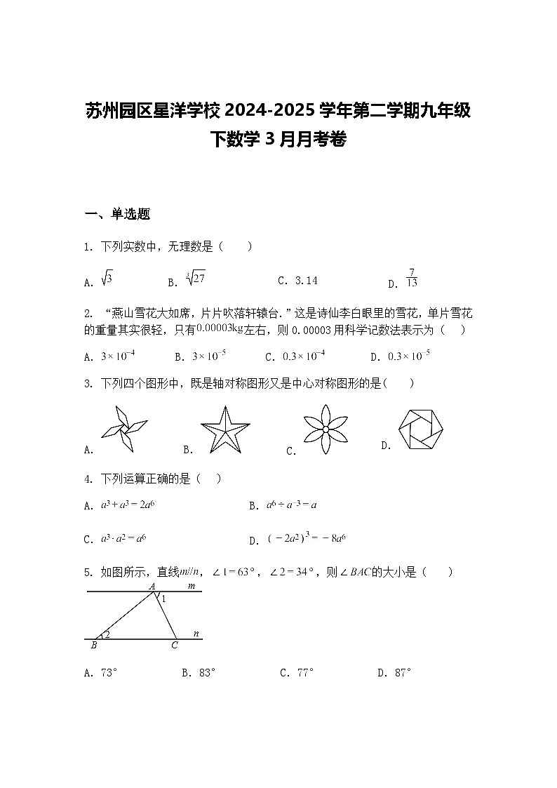 苏州园区星洋学校2024-2025学年第二学期九年级下数学3月月考卷（含答案解析）第1页