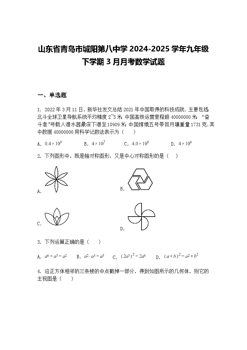 山东省青岛市城阳第八中学2024-2025学年九年级下学期3月月考数学试题（含答案解析）第1页