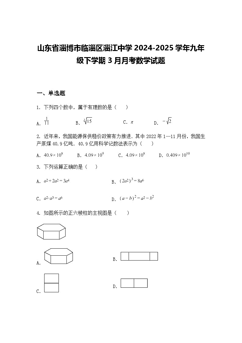 山东省淄博市临淄区淄江中学2024-2025学年九年级下学期3月月考数学试题（含答案解析）第1页