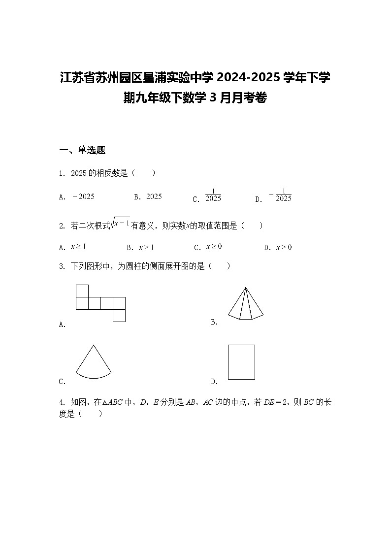 江苏省苏州园区星浦实验中学2024-2025学年下学期九年级下数学3月月考卷（含答案解析）第1页