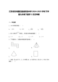 江苏省苏州园区星浦实验中学2024-2025学年下学期九年级下数学3月月考卷（含答案解析）