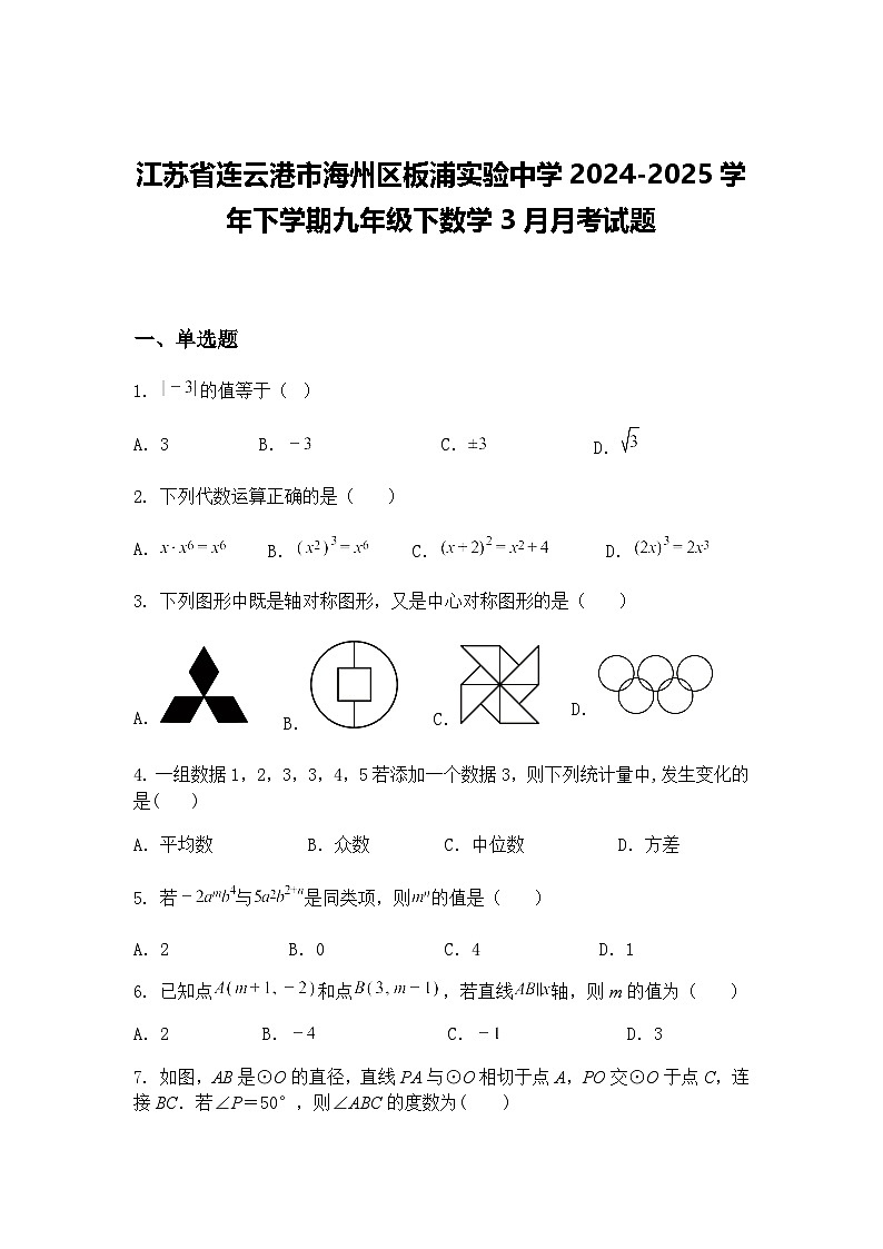 江苏省连云港市海州区板浦实验中学2024-2025学年下学期九年级下数学3月月考试题（含答案解析）第1页