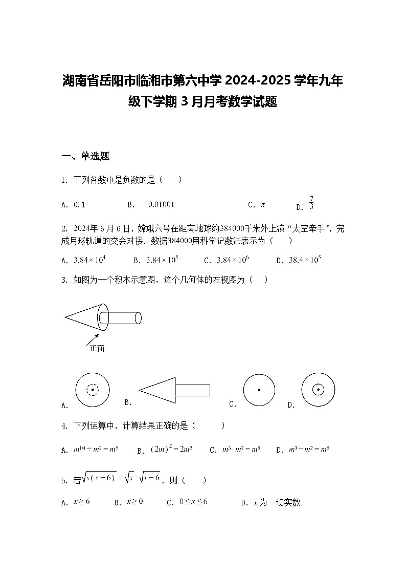 湖南省岳阳市临湘市第六中学2024-2025学年九年级下学期3月月考数学试题（含答案解析）第1页