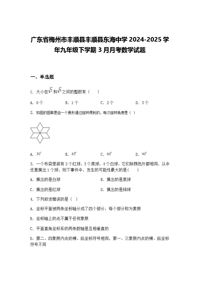 广东省梅州市丰顺县丰顺县东海中学2024-2025学年九年级下学期3月月考数学试题（含答案解析）第1页
