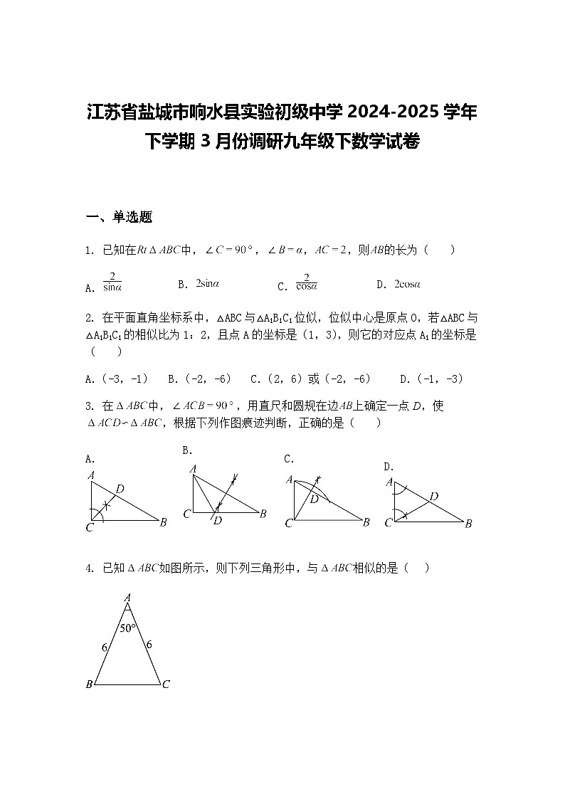 江苏省盐城市响水县实验初级中学2024-2025学年下学期3月份调研九年级下数学试卷（含答案解析）第1页
