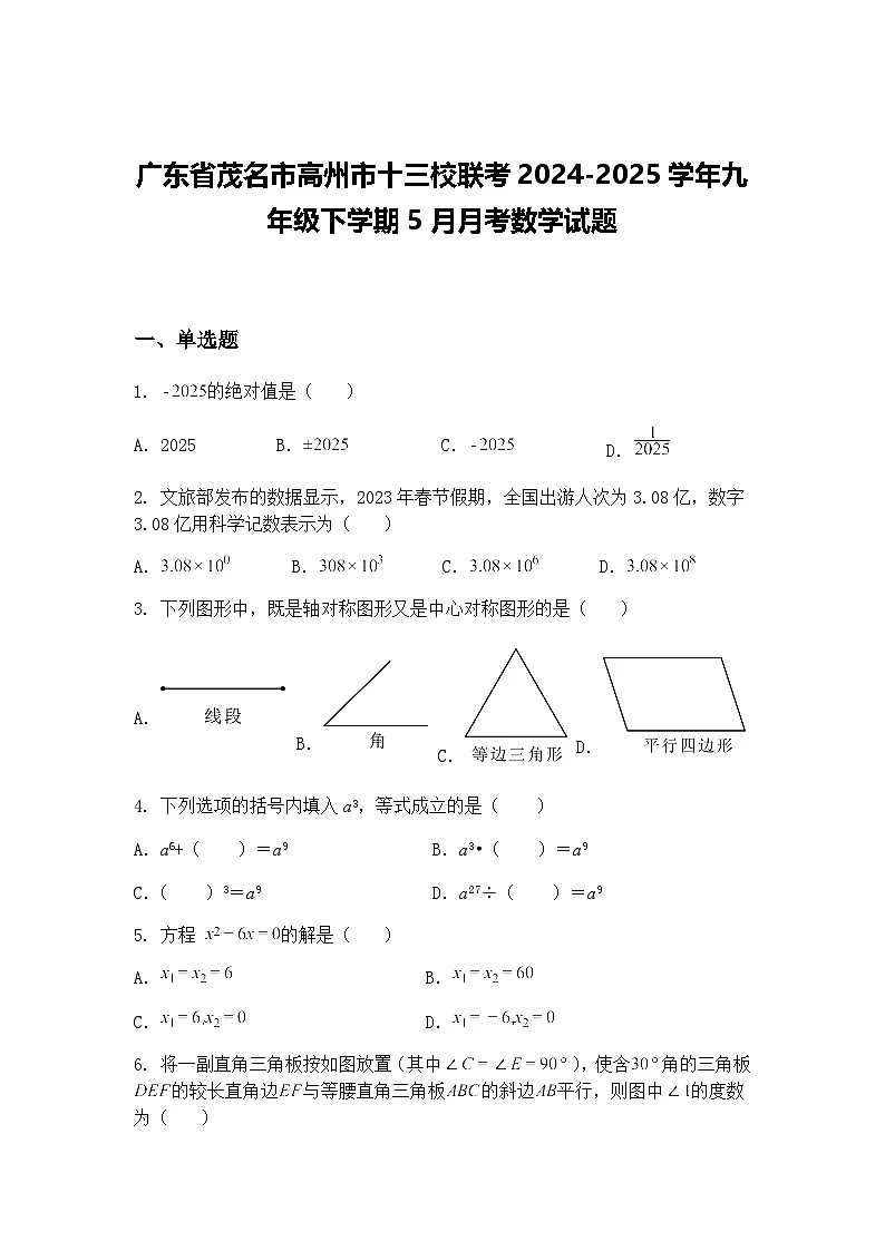 广东省茂名市高州市十三校联考2024-2025学年九年级下学期5月月考数学试题（含答案解析）第1页