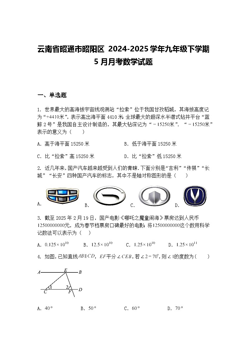 云南省昭通市昭阳区 2024-2025学年九年级下学期5月月考数学试题（含答案解析）第1页