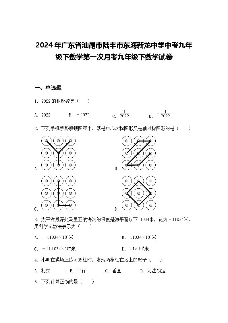 2024年广东省汕尾市陆丰市东海新龙中学中考九年级下数学第一次月考九年级下数学试卷（含答案解析）第1页
