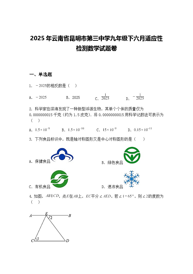 2025年云南省昆明市第三中学九年级下六月适应性检测数学试题卷（含答案解析）第1页