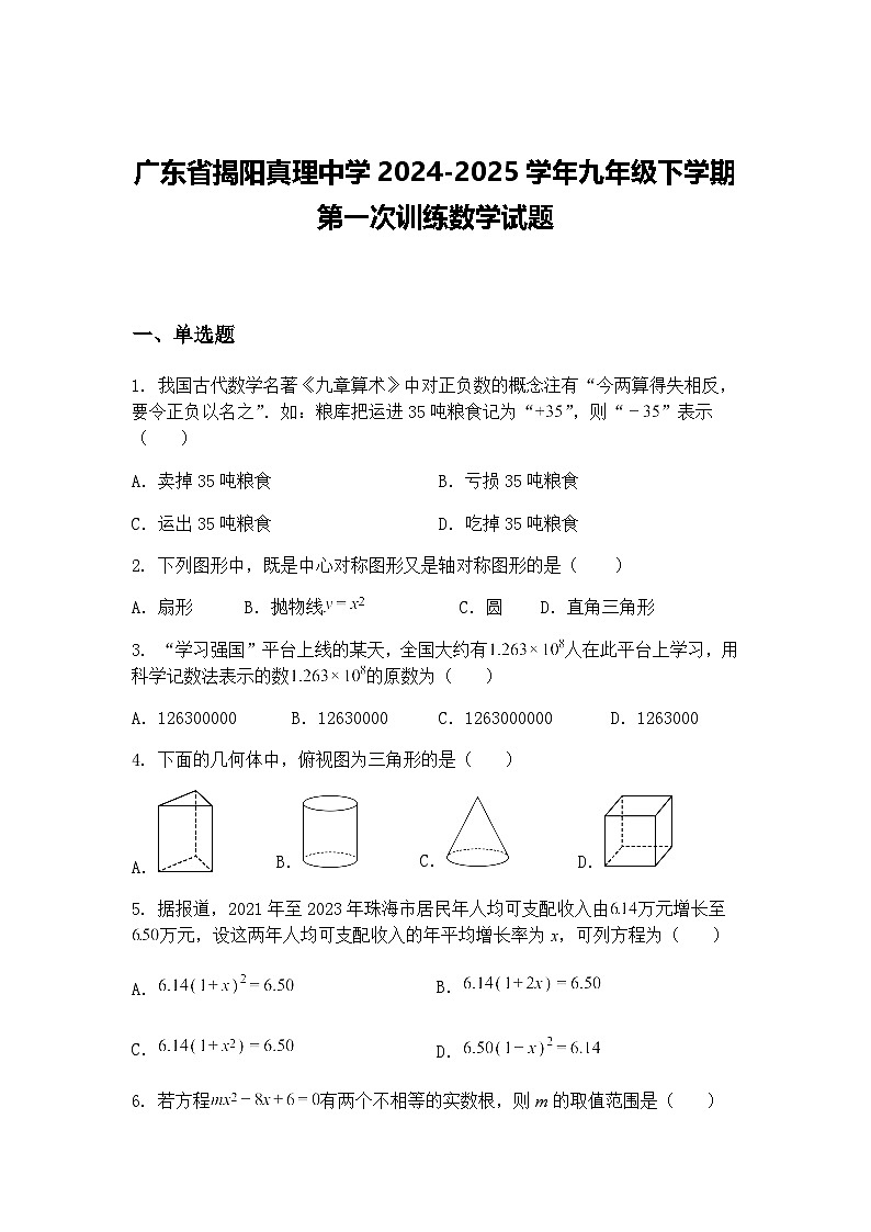 广东省揭阳真理中学2024-2025学年九年级下学期第一次训练数学试题（含答案解析）第1页