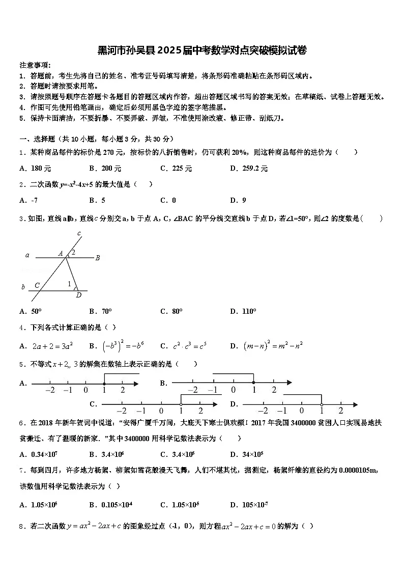 黑河市孙吴县2025届中考数学对点突破模拟试卷含解析第1页