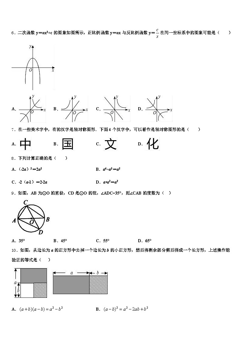 黑龙江省大庆市龙凤区2025年中考数学对点突破模拟试卷含解析第2页