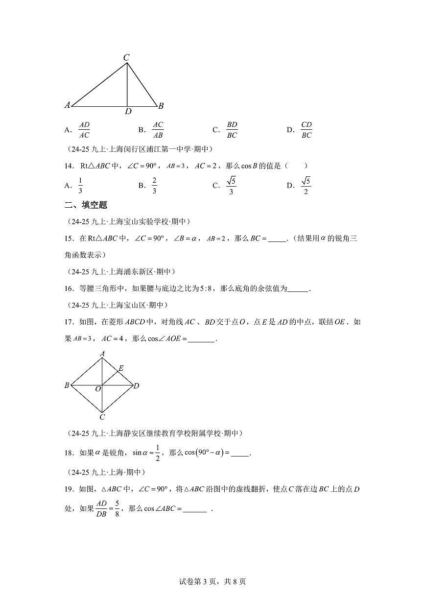 专题06锐角三角函数（期中真题 上海专用）九年级数学上册（沪教版上海）含答案第3页