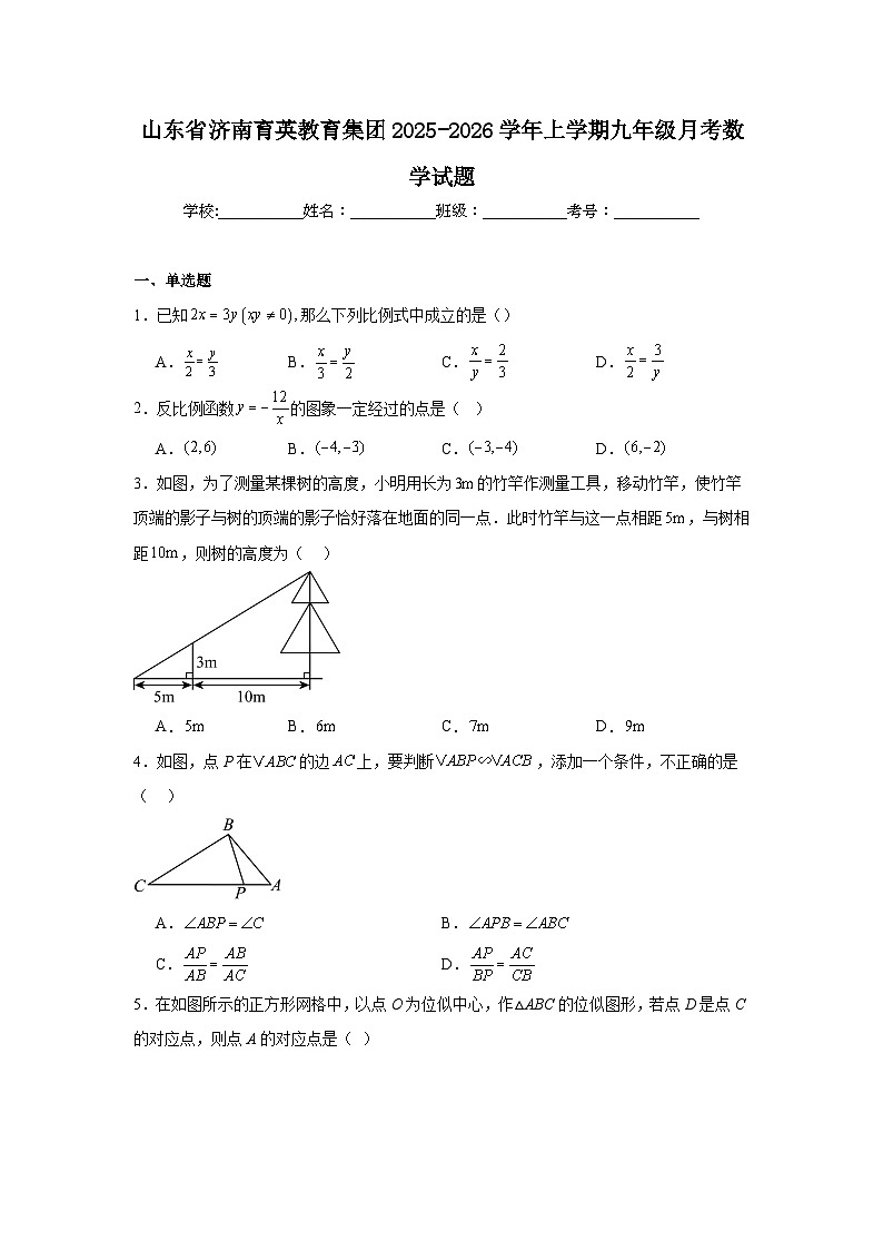 2025-2026学年山东省济南育英教育集团九年级上学期月考数学试题第1页