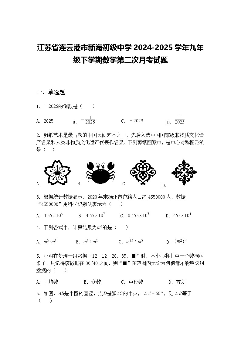 江苏省连云港市新海初级中学2024-2025学年九年级下学期数学第二次月考试题（含答案解析）第1页